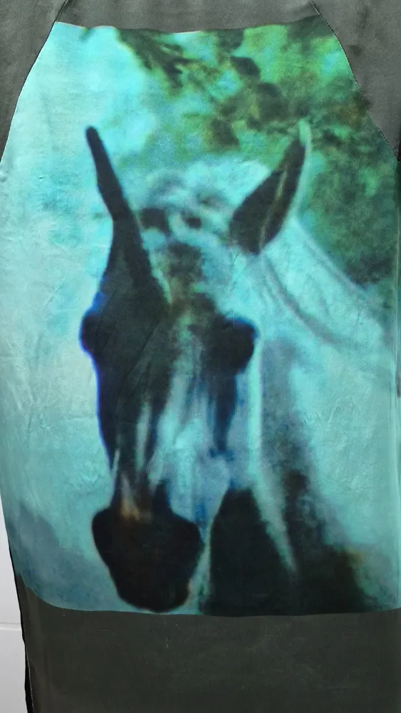 Vestido Gloria Coelho seda pura