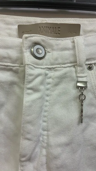 Shorth Animale 40
