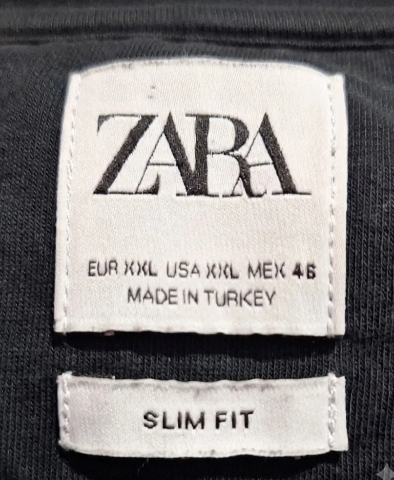 Camiseta masculina Zara Tam G