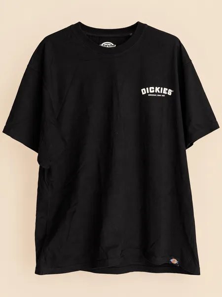 camiseta da marca dickies original