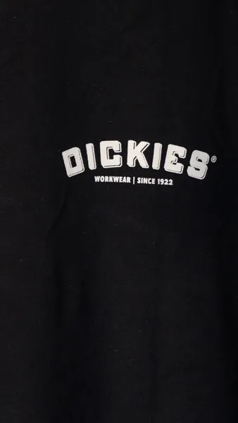 camiseta da marca dickies original